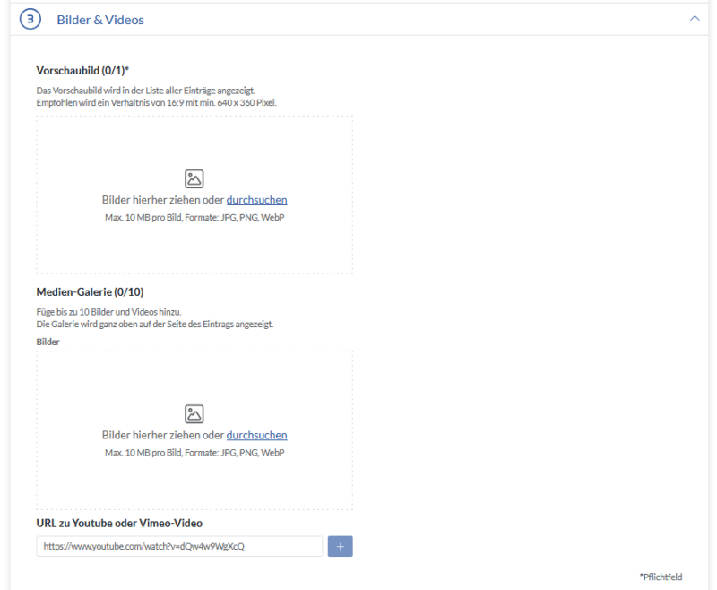 Review Prozess Bilder und Video